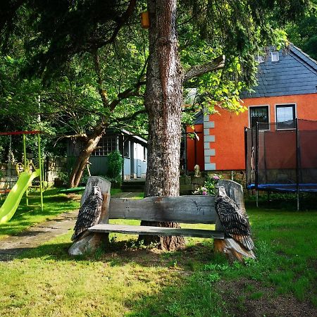 Ferienhaus Franz - An Der Elbe, Mit Grossem Garten Βίλα Πίρνα Εξωτερικό φωτογραφία